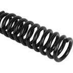 Set of 2 Coil Springs for Ford F-150 (2004–2018)