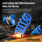 MaXpeedingrods Lowering Springs for Tesla Model 3 (2017–2024) AWD