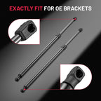 Set of 2 Rear Tailgate Lift Support Struts for Toyota Sequoia (2001–2007)