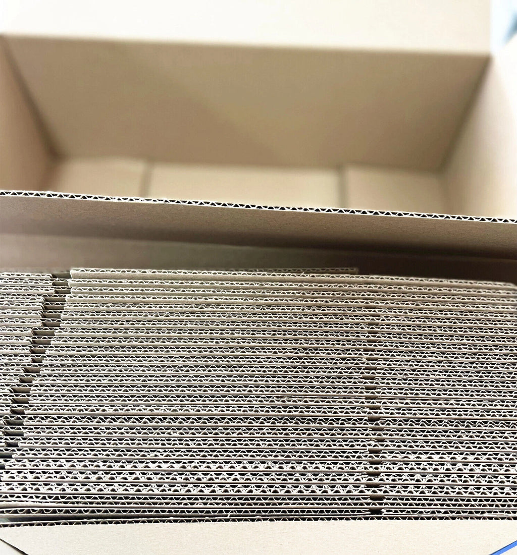 Shipping Carton Box Pack for BX4 B4 (450 x 250 x 140mm)