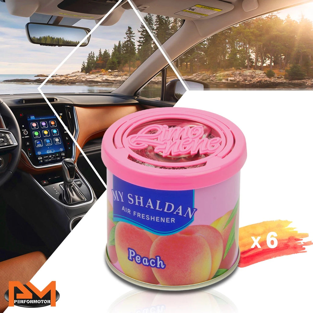 Shaldan Air Freshener Peach Scent 80g for X6 (Japan)