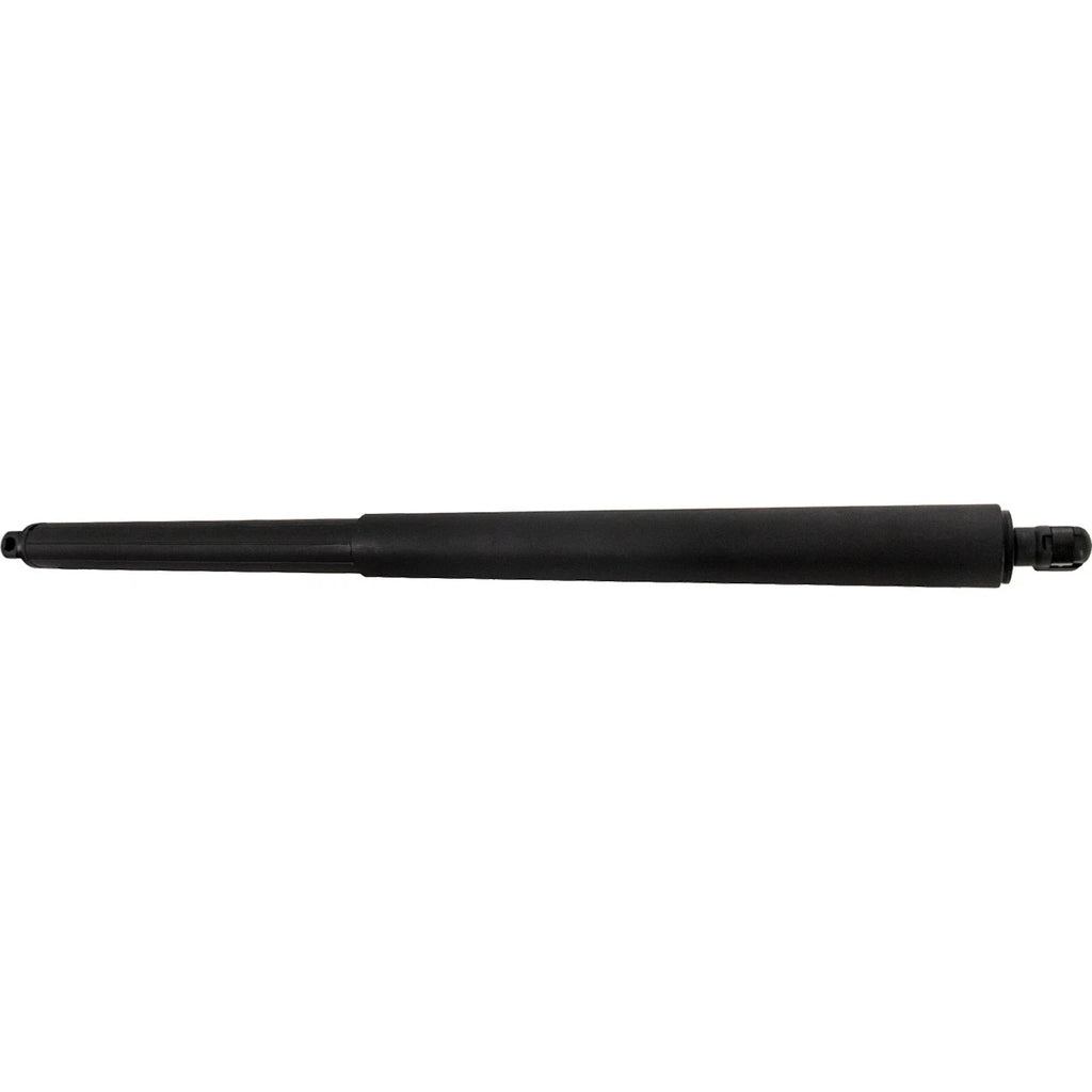 Lift Supports for Hatchback (Driver or Passenger Side)