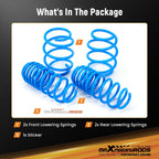 Lowering Springs for Honda Civic Coupe Sedan Hatch (2016–2024)