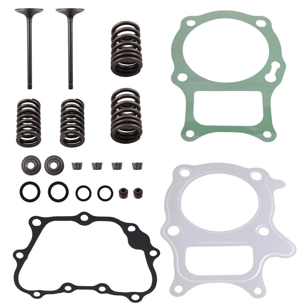 Cylinder Head Gasket, Intake & Exhaust Valve Seals Kit for Honda TRX250TM (2002–2020)