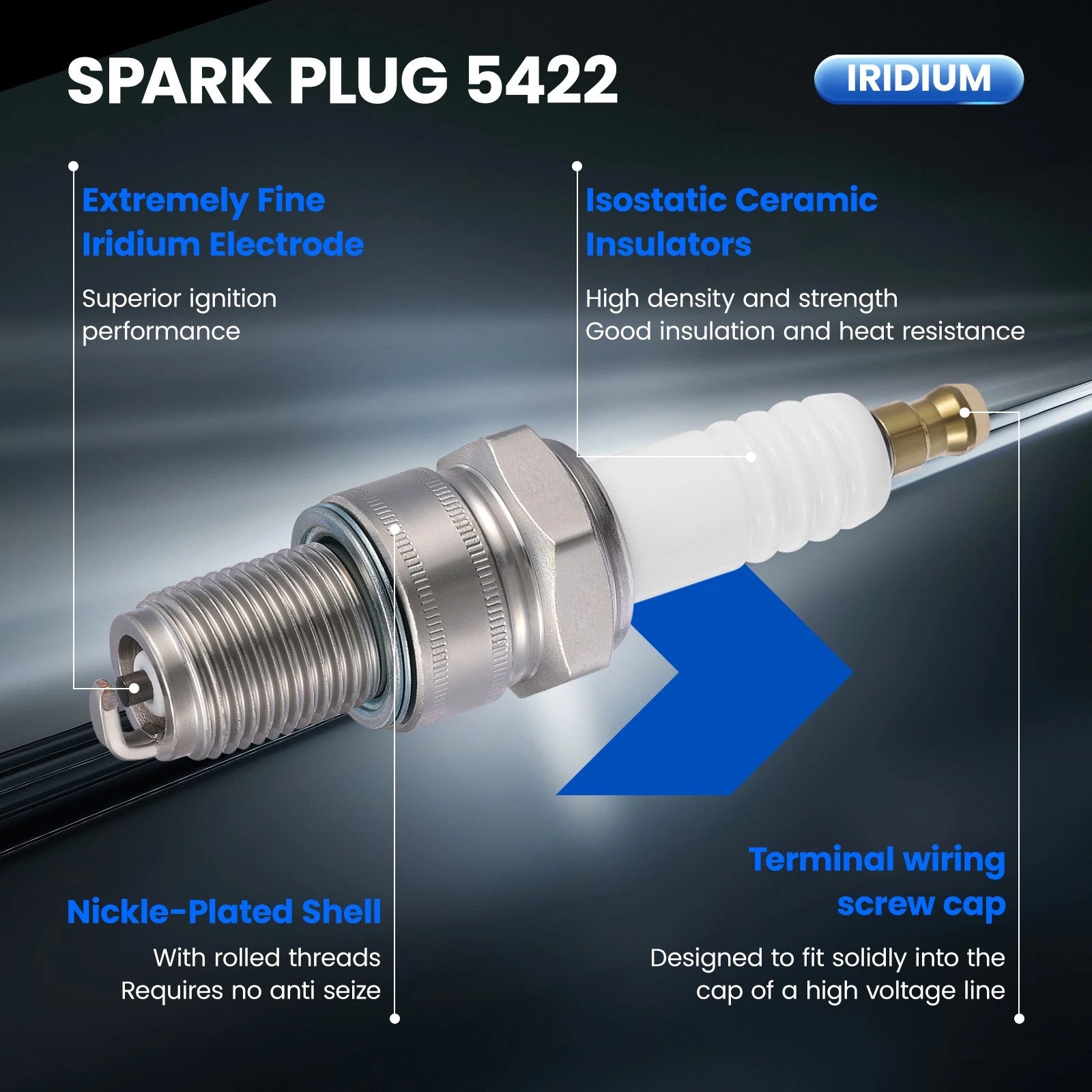 Set of 10 Spark Plugs 5422 for Aprilia Derbi Kawasaki Vespa/Piaggio (N/A)