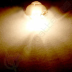 10X B8.4D Instrument Dash Gauge Indicator Light Bulb for Ford