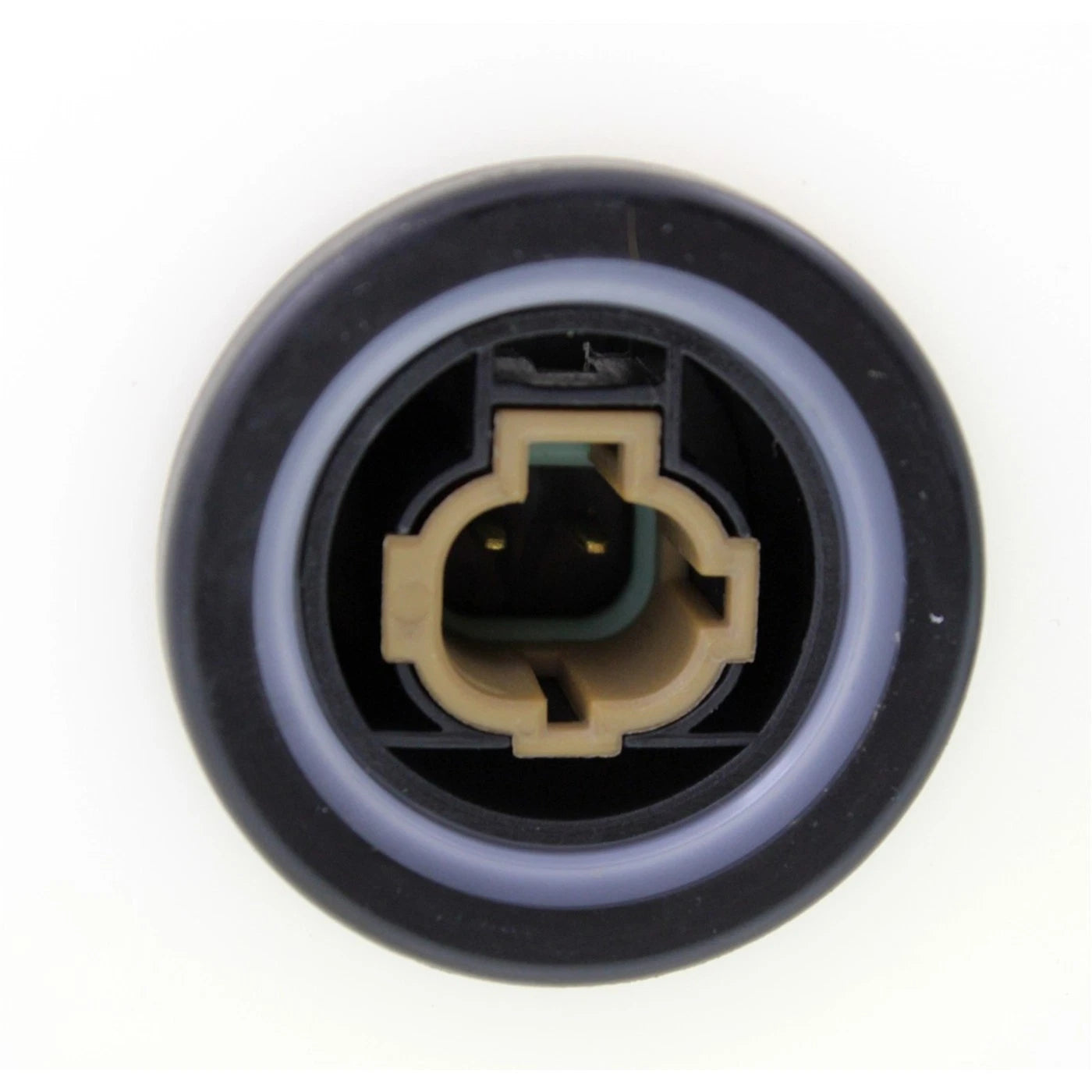 Washer Reservoir for Nissan Frontier (2002–2004)