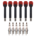 Set of 6 Ignition Coils & NGK Laser Iridium Spark Plugs for A6 Q5 Q7 Cayenne