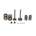 Intake Exhaust Valve Spring Seal Kit for Yamaha TTR225 YTM225 YFM225 XT225 TT225 (1999–2006)