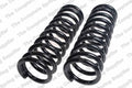 Front Coil Spring Kit for Buick (4112139)
