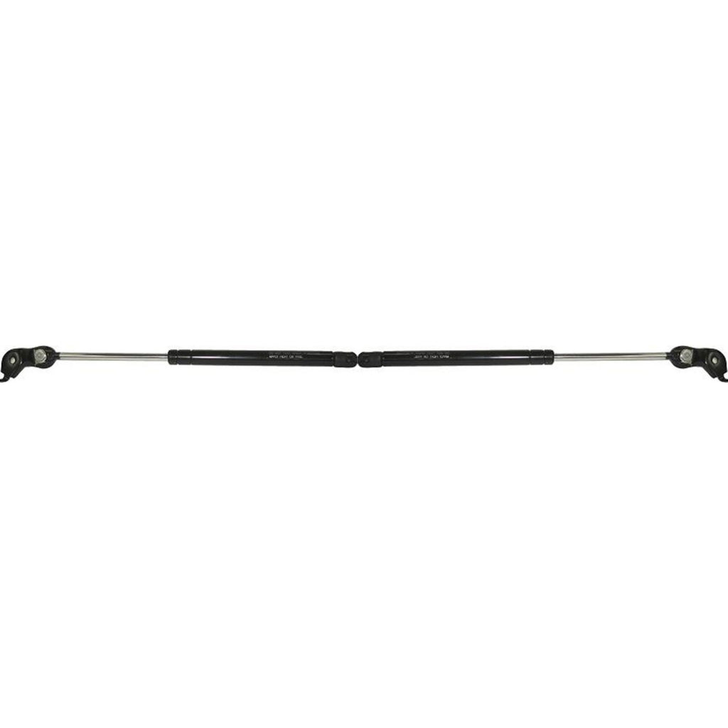 Lift Support for Toyota Avalon (1995–1999)