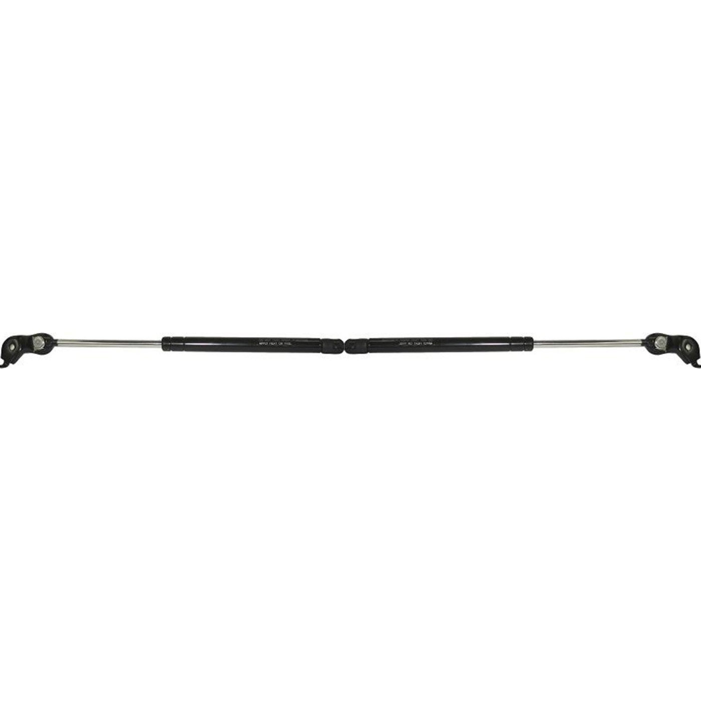 Lift Support for Toyota Avalon (1995–1999)