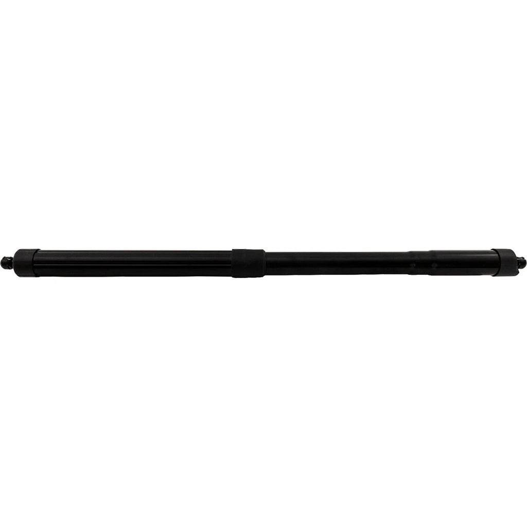 Liftgate Lift Supports for Honda Pilot (2016–2018)