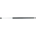 Liftgate Lift Support for Lexus RX350 RX450h (2010–2013)
