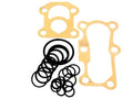 Hydraulic Pump Seal Kit for Massey Ferguson 550 565 575 590 675 690 698