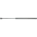 Trunk Lid Lift Supports for BMW 3 Series (Driver/Passenger Side)