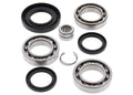 Rear Differential Bearing & Seal Kit for Honda Rancher TRX420 & Foreman TRX500 (2007–2023)