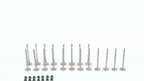 Engine Valves for Audi Volkswagen 1.8L Turbo (1997–2006)