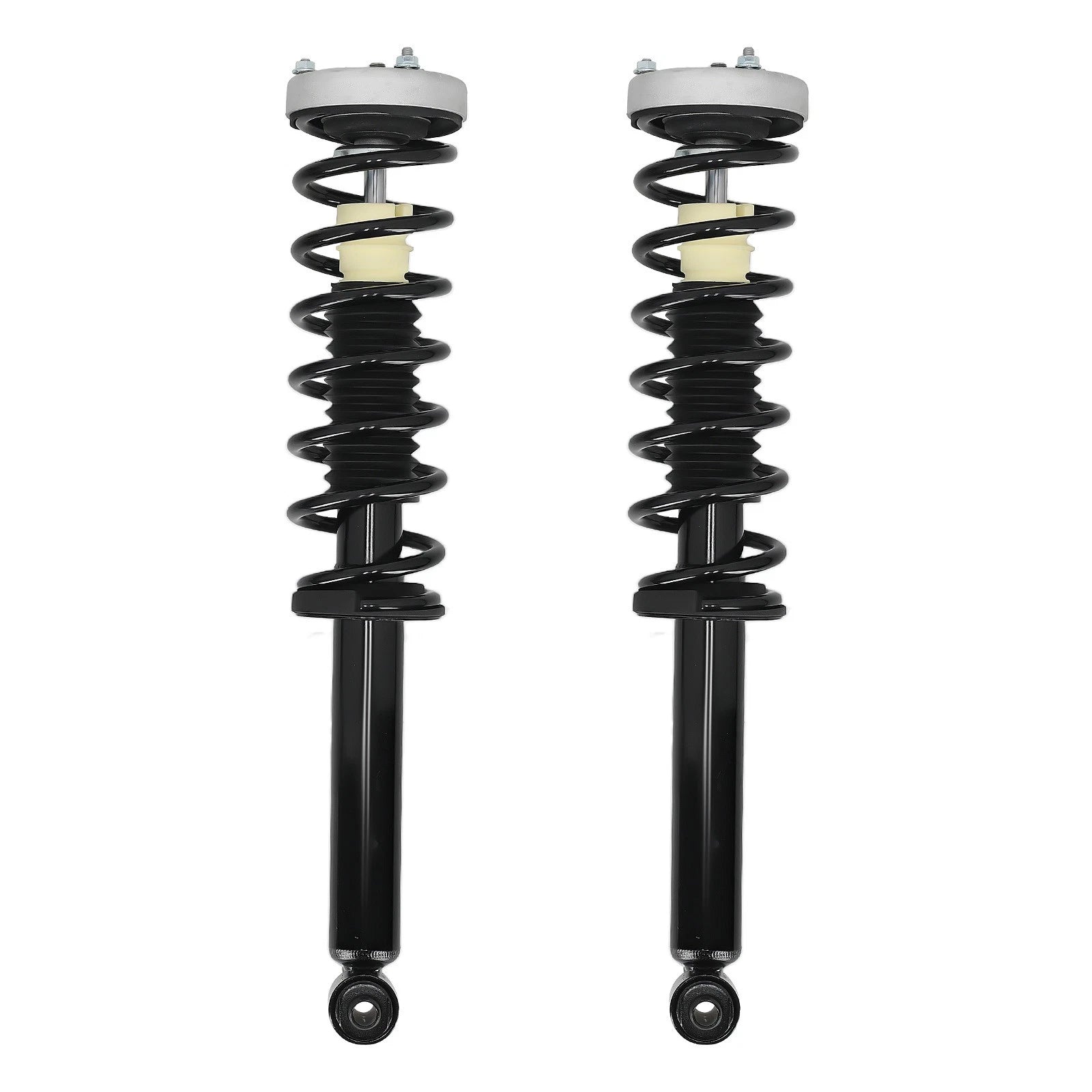Pair Complete Rear Strut with Coil Spring for BMW 545i (2004–2005)