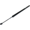 Lift Support for Honda Odyssey (2005–2008) Power Liftgate Left or Right