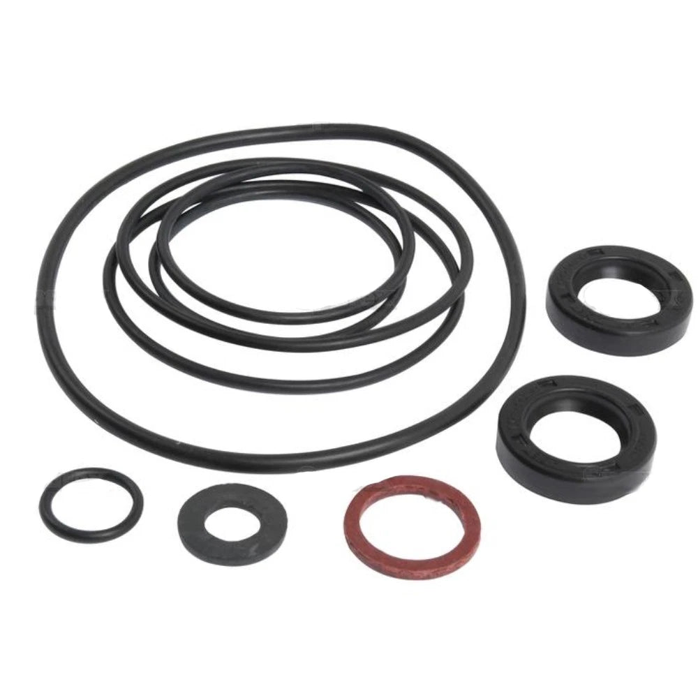 Power Steering Pump Kit for Landini (Replaces 1810509M91)