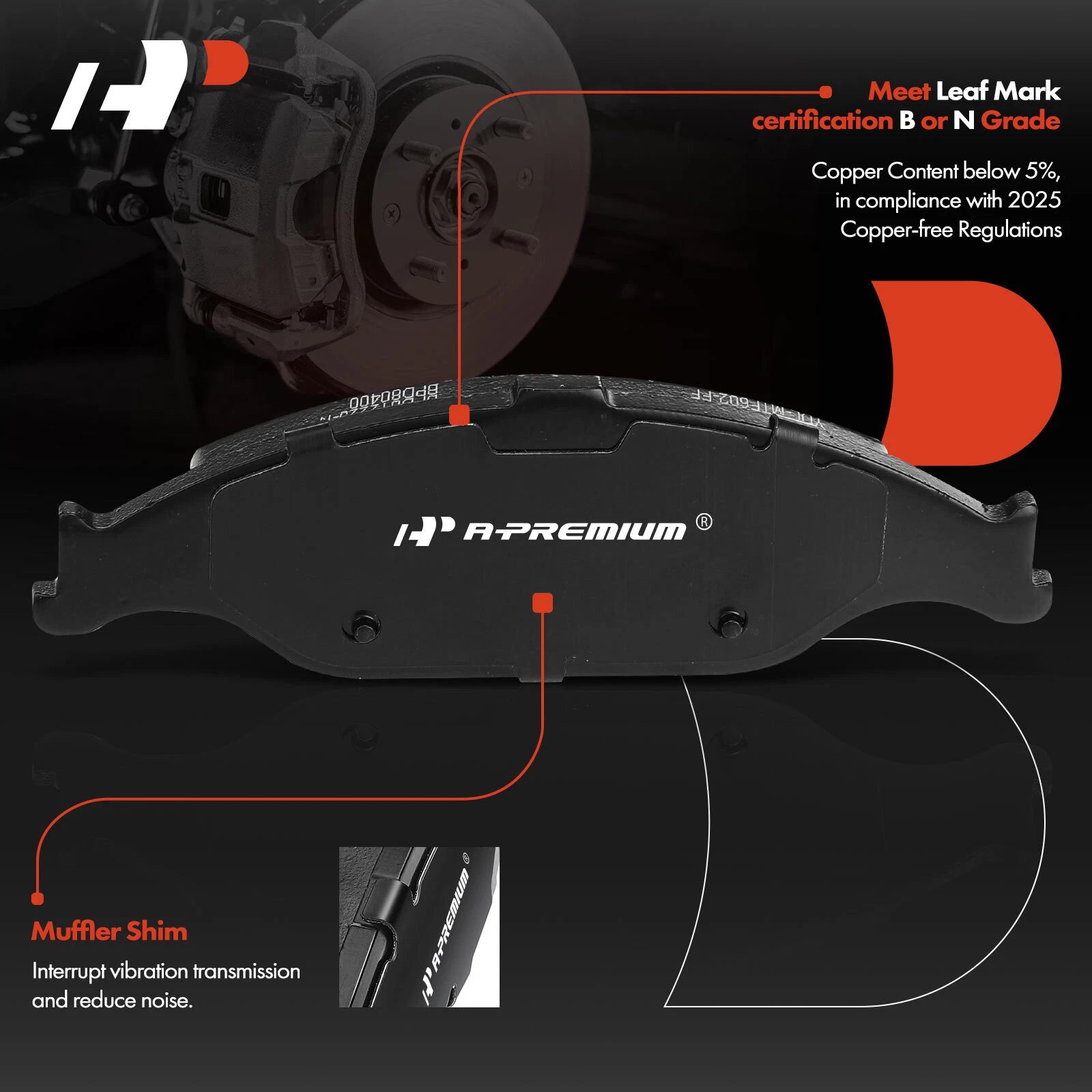Disc Brake Rotors & Pads Set for Ford Mustang