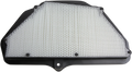 HIFLOFILTRO Air Filter for Kawasaki (HFA2921)