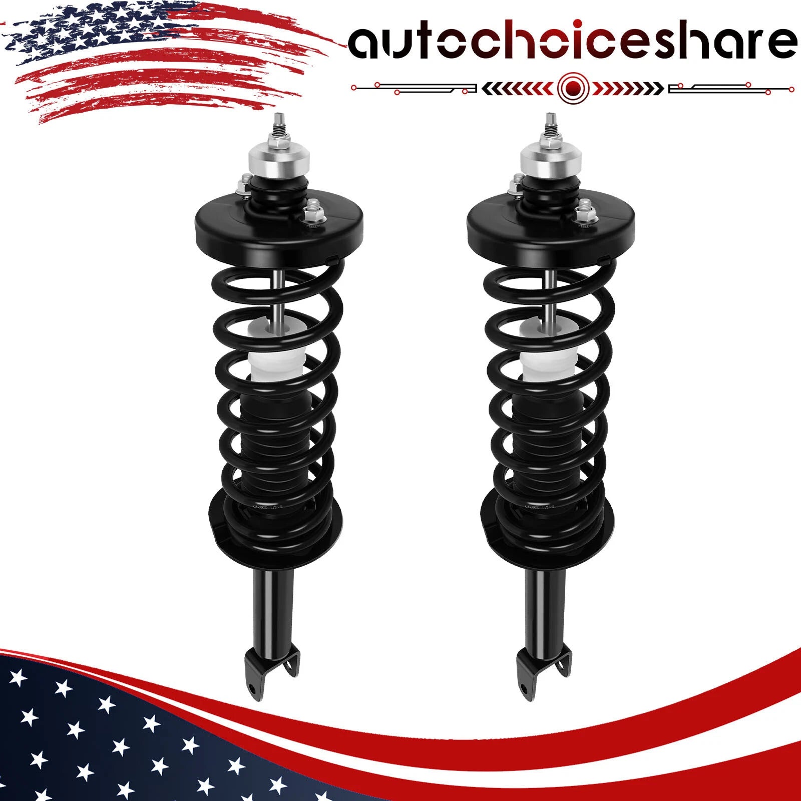 Set of 2 Rear Complete Struts with Coil Springs for Honda Accord (2013–2017)