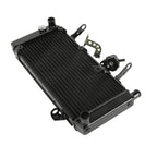 Radiator Cooler for Suzuki SV1000S (2003–2008)
