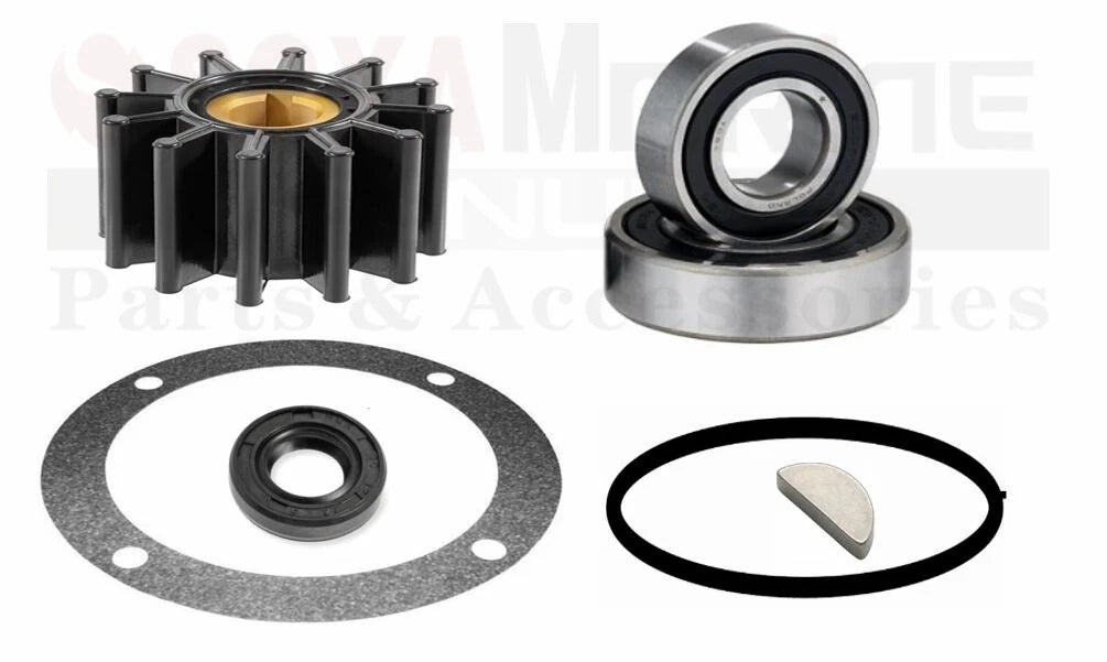 Rebuild Repair Kit for Perkins 4107 4108 Water Pump (NA003335)