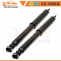 Rear Pair Shocks Struts Assembly for Ford F150 Heritage (2004)
