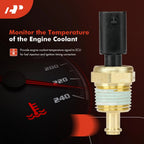 Engine Coolant Temperature Sensor for Ford F-150, Edge, Fusion (2004-2023)