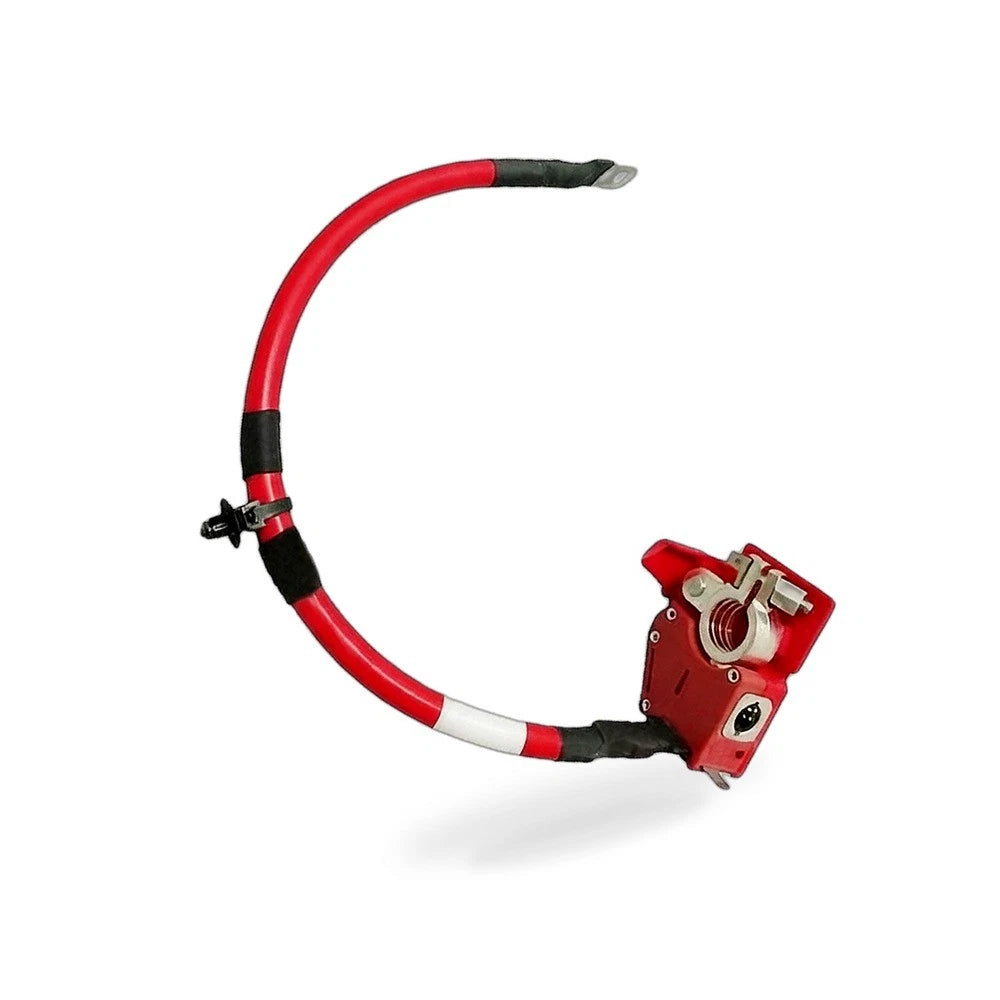 Battery Positive Cable for BMW 1 Series F20 F21 2 Series F22 F23 (2012–2019)