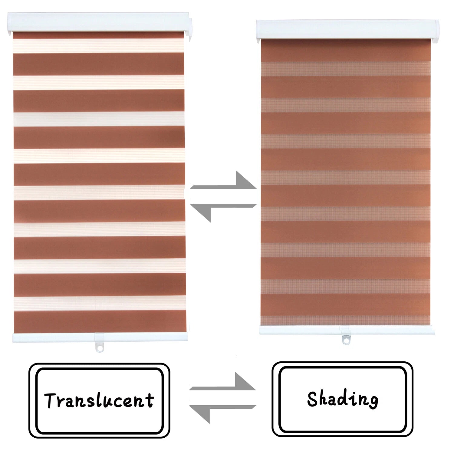 Zebra Roller Blinds for 60" Windows (Cordless, Dual Layer, Brown)