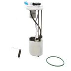 Delphi FG0908 Fuel Pump Module Assembly for Chevrolet Silverado 1500 (2007–2008)