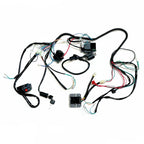 Wiring Harness Loom for GY6 200cc 250cc Engine Quad Dirt Bike ATV (2000–2023)