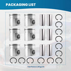 Piston Ring Set for Dodge Ram 2500 3500 5.9L Cummins (2004-2006)
