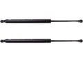 Liftgate Lift Support Set of 2 for Mazda CX-9 (2007–2015) DR198NK