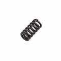 Genuine OEM Engine Valve Spring for Audi A4 Quattro, A6 Quattro, Q5 (2009–2017) 06E109623H
