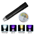 4-in-1 LED Identification Light for Automotive Use