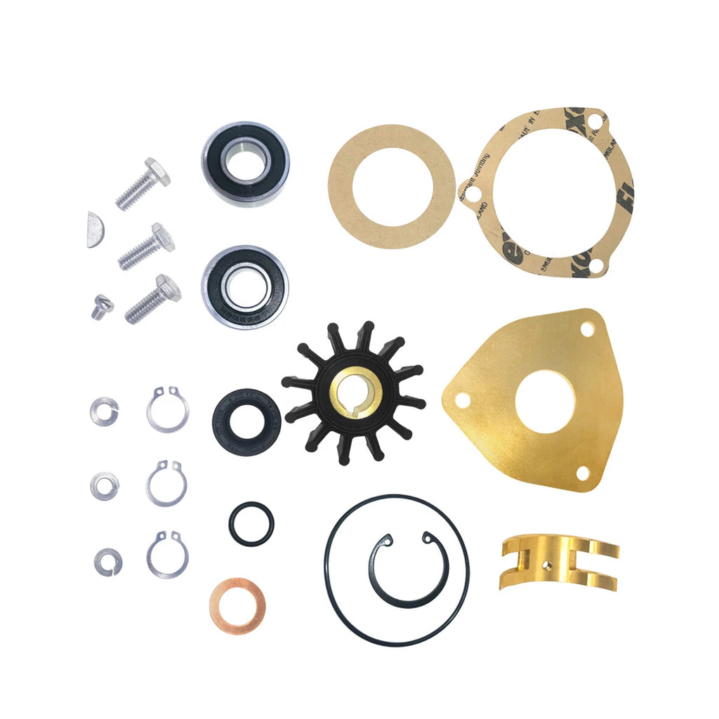 Major Repair Kit for Sherwood Pumps G903 / G908 (Universal)