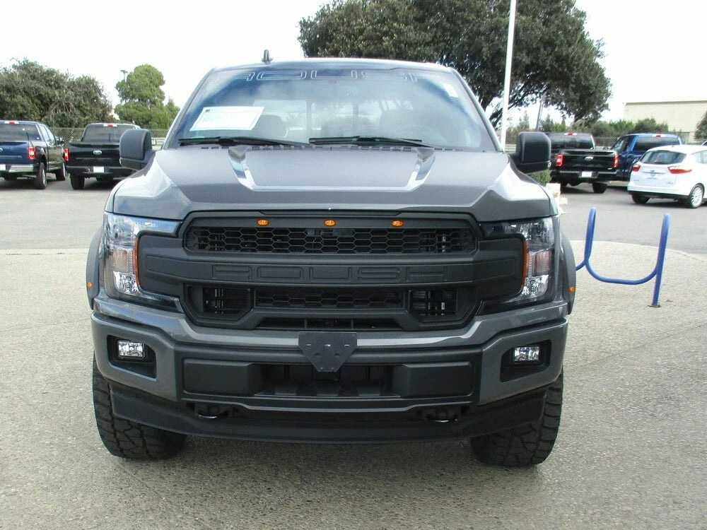 License Plate Bracket Removable OEM Fit for Ford F-150 (2017–2019)