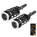 Pair Front Strut Spring for BMW 128i 135i 135is (2008–2013)