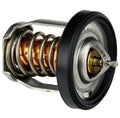 SUZUKI DF2 Johnson Outboard Motor Parts (DF2)