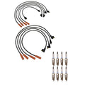 Denso Wire Set & Platinum TT Spark Plugs Kit for Ford 5.0 V8 (0.040)