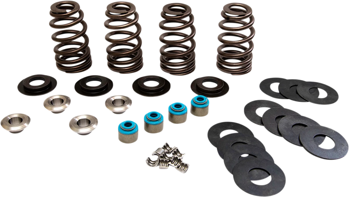 Valve Spring Kit for Harley Davidson Twin Cam (1123)
