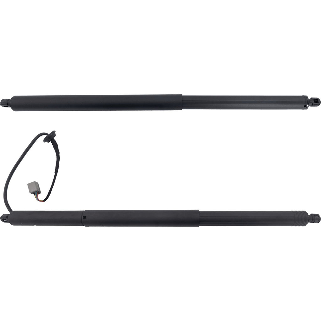 Set of 2 Liftgate Lift Supports for S