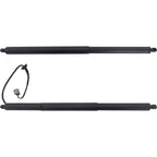 Set of 2 Liftgate Lift Supports for S