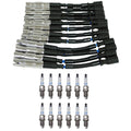 NGK Wire Set & Denso 12 Platinum TT Spark Plugs for R170 SLK32 AMG (2001–2004)