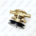 2Pcs Sea Water Pump for Yanmar Johnson (128377-42500, 10-24509-01, 10-13337-01)